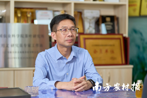 正规配资排名 仙池茶业董事长张国富：以大湾区为支点，推动油茶走向世界|三江·油茶面孔③